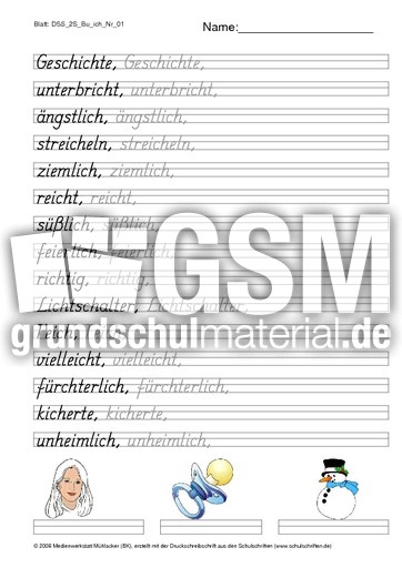 DSS_2S_Bu_ich_Nr_01.pdf